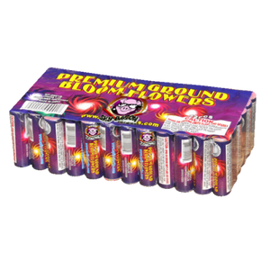 PREMIUM GROUND BLOOM FLOWER - 6 PK