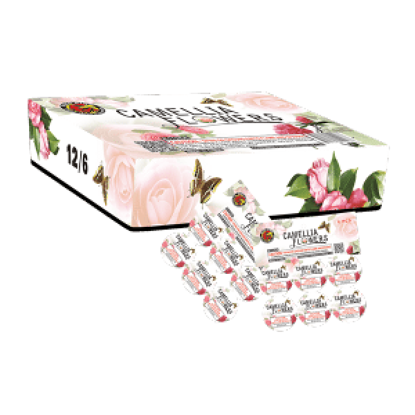 CAMELIA FLOWERS LG - 6 PACK