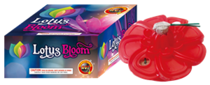 LOTUS BLOOM