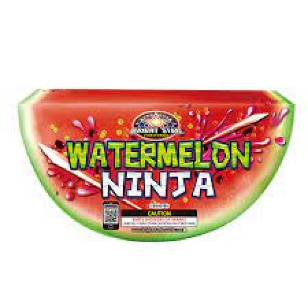 WATERMELON NINJA FOUNTAIN