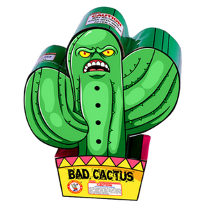 BAD CACTUS FOUNTAIN