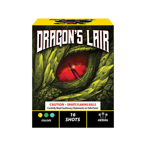 DRAGONS LAIR - 16 SHOT