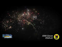 Load and play video in Gallery viewer, 1000 GRAM DISPLAY - 102 SHOT
