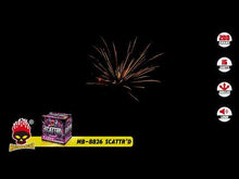 Load and play video in Gallery viewer, SCATTR'D - 16 SHOT
