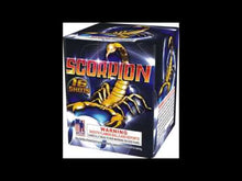 Load and play video in Gallery viewer, SCORPION - 16 SHOT
