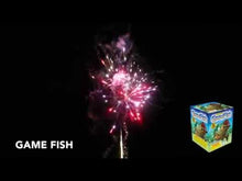Load and play video in Gallery viewer, GAMEFISH - 15 SHOT
