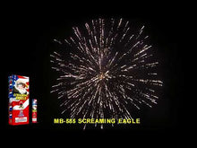 Load and play video in Gallery viewer, ARTILLERY - SCREAMING EAGLE SHELLS (24)
