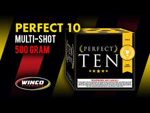 Load and play video in Gallery viewer, PERFECT 10 - 10 SHOT
