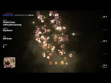 Load and play video in Gallery viewer, PIRATES COVE = 4 PACK CASE
