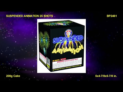 SUSPENDED ANIMATION -  SHOT