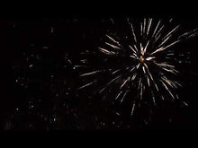 Load and play video in Gallery viewer, ARTILLERY KILLER WILLOW (6)
