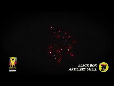 ARTILLEY SHELL BC BLACK BOX  (6)