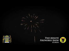 Load and play video in Gallery viewer, TWO MINUTE FIREWORKS SHOW - 63 SHOT
