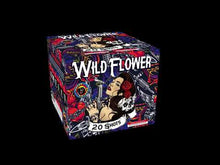 Load and play video in Gallery viewer, WILD FLOWERS - 20 SHOT
