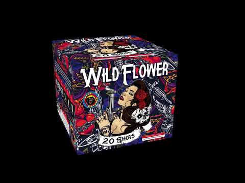 WILD FLOWERS - 20 SHOT